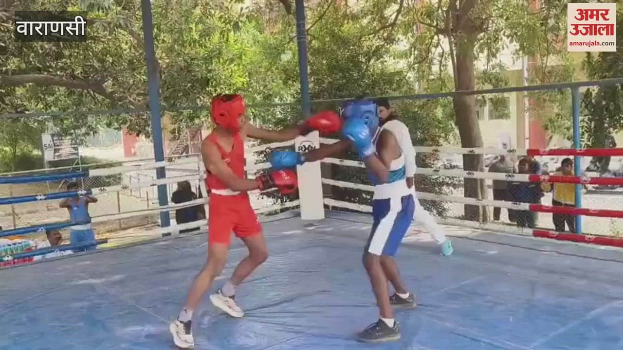 VIDEO : about 46 boxers 260 showed strength semi-finals audience increased enthusiasm