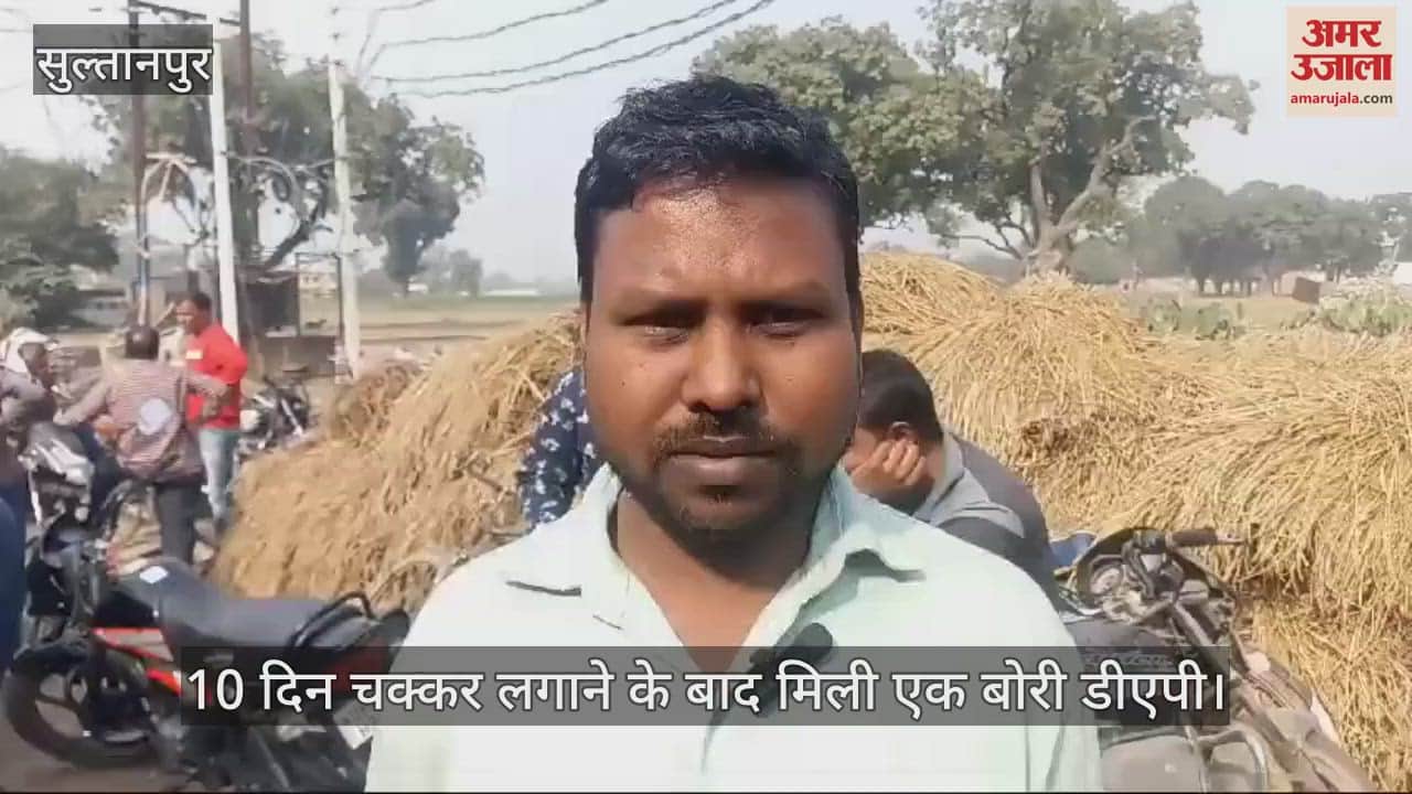 VIDEO : 10 दिन चक्कर लगाने के बाद मिली एक बोरी डीएपी, किसान परेशान