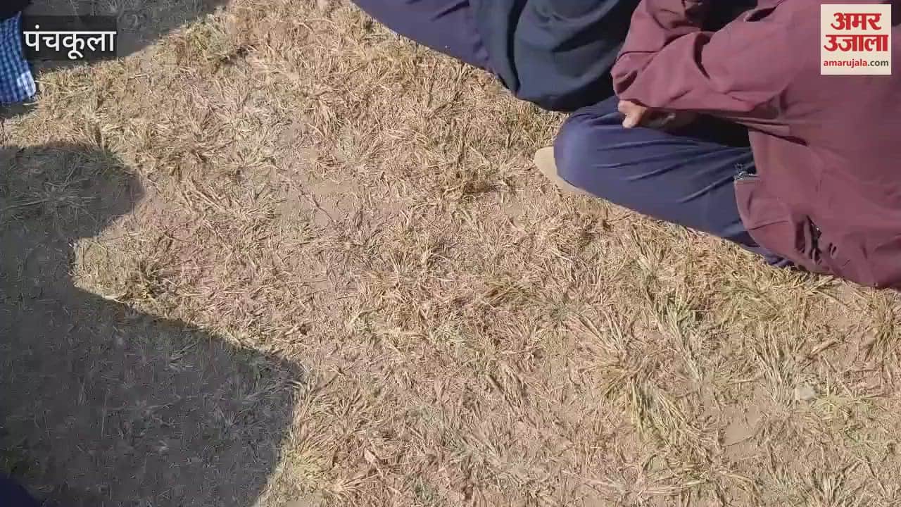 VIDEO : Awareness program against drug abuse organised in Panchkula