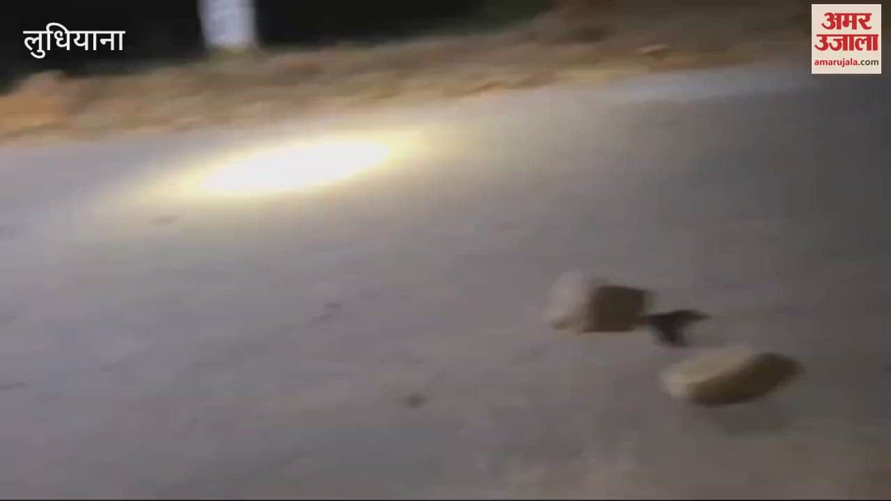 VIDEO : Bullets fired between kidnappers and police in Ludhiana