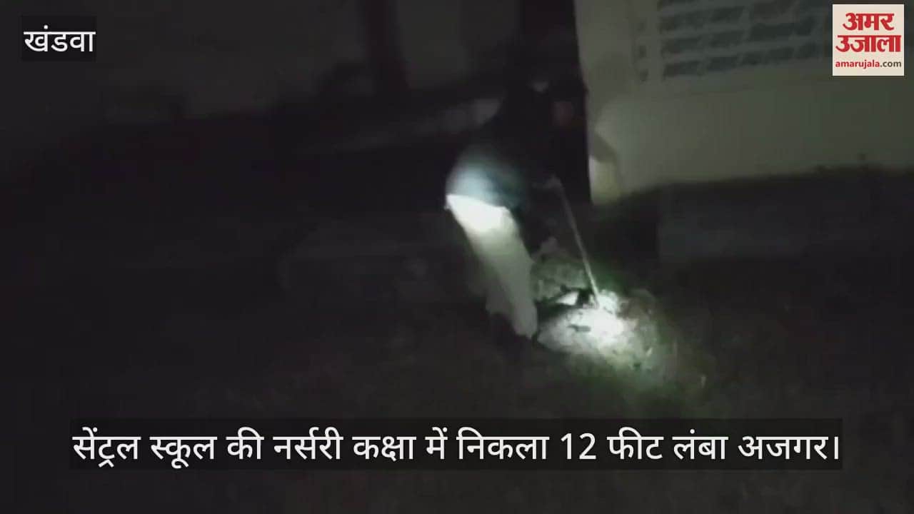 Khargone: 12 feet long python rescued after passing through game of Snakes and Ladders made on nursery class