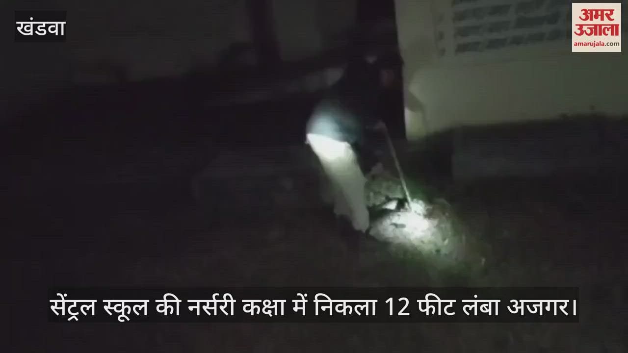 Khargone: 12 feet long python rescued after passing through game of Snakes and Ladders made on nursery class