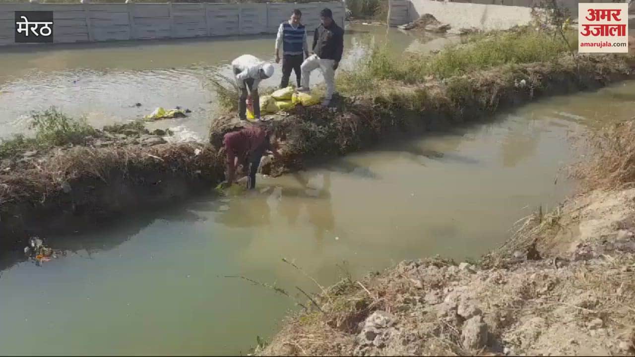 VIDEO : Meerut: Cutting in Bamba on Bijli Bamba bypass, fields and plots filled with water.