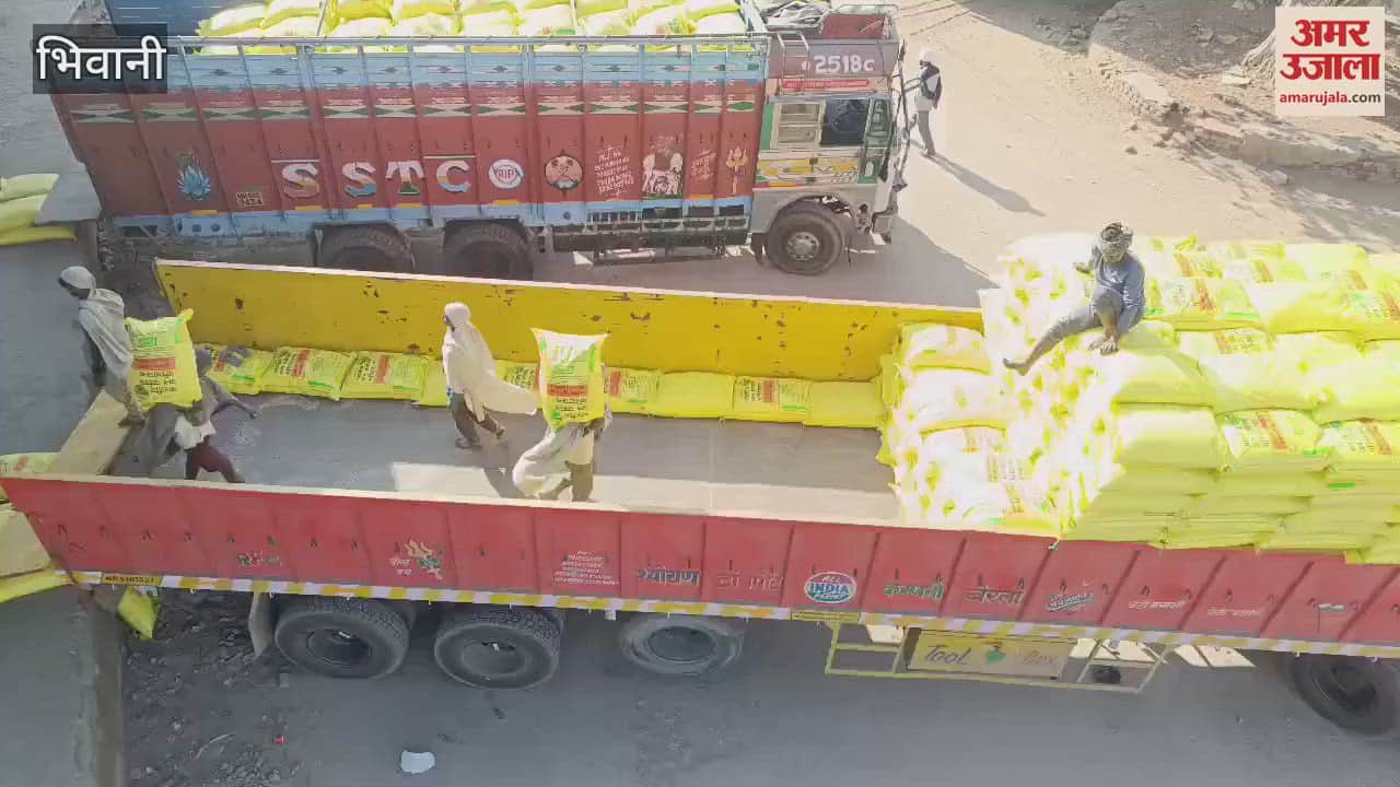 VIDEO : rack of 70992 bags of urea reached Bhiwani, fertilizer will reach the sales centers