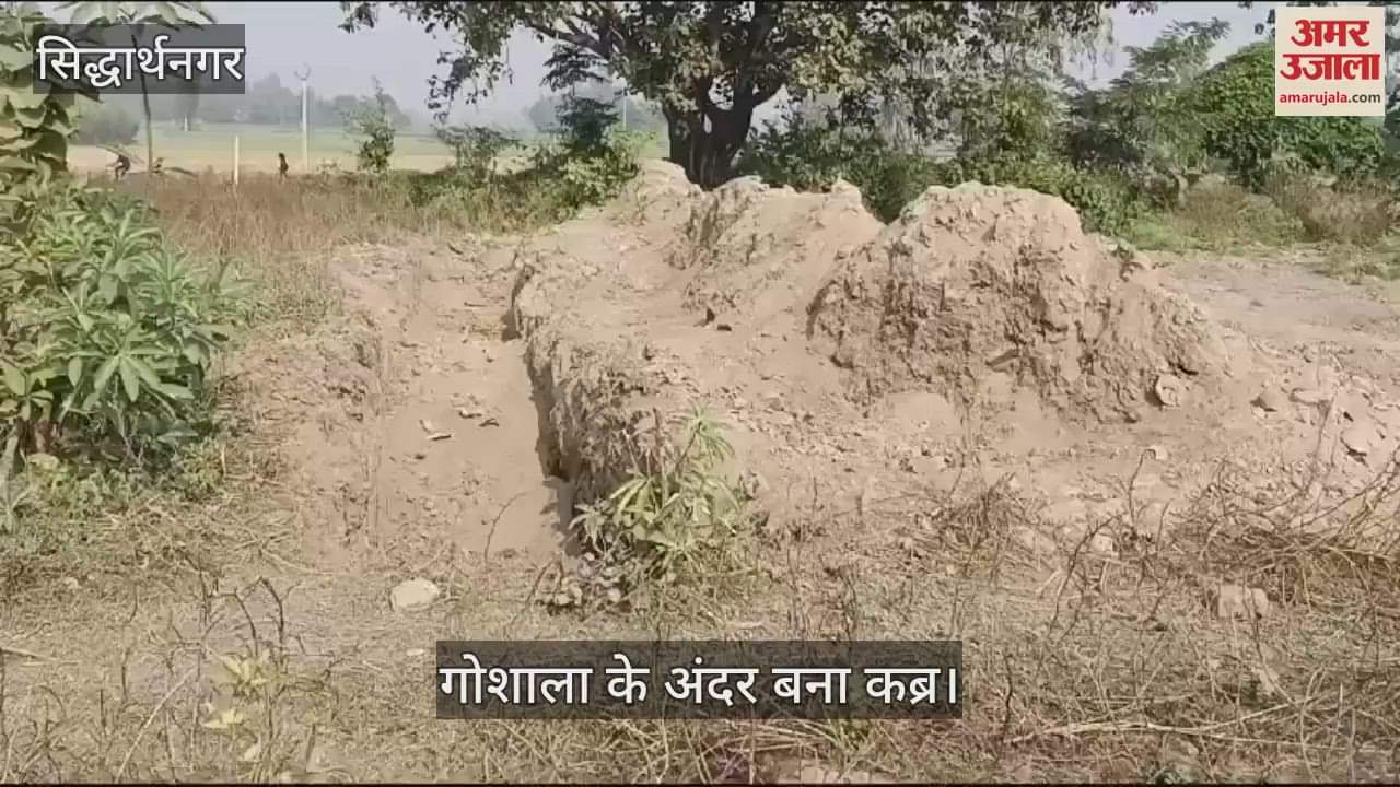 VIDEO : Graves made before the death of animals