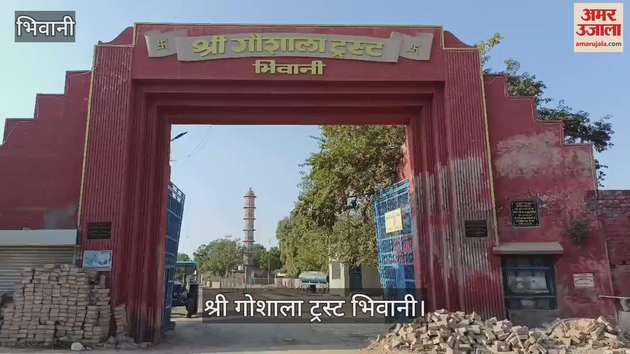 VIDEO : A 60-foot high tower has been built for birds in the cowshed in Bhiwani, 800 birds will get shelter