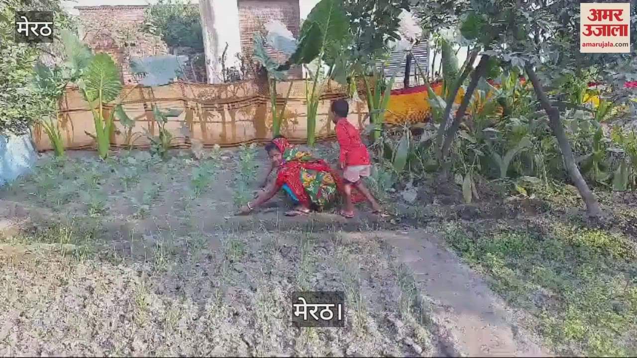 VIDEO : no solution to the problem of water drainage, women found a solution, now they don't have to buy vegetables