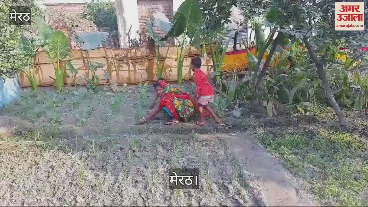 VIDEO : no solution to the problem of water drainage, women found a solution, now they don't have to buy vegetables