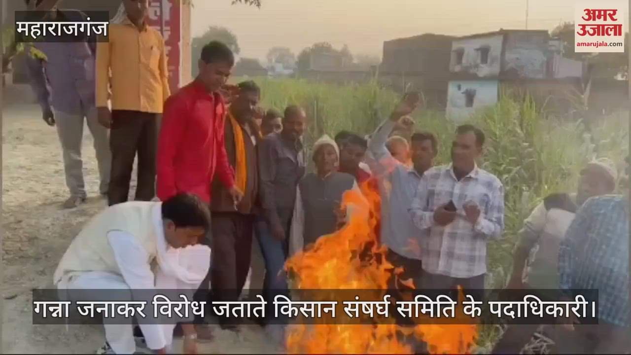 VIDEO : Farmers protested by burning sugarcane