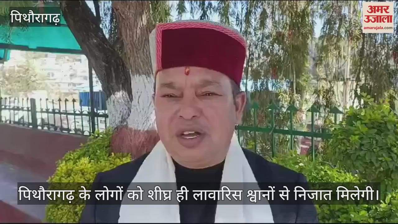 VIDEO : Initiative of Chitra Lohani Animal Welfare Society in Sorghati Pithoragarh will provide relief from stray dogs