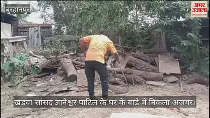 Khandwa 10 feet long python was hiding in enclosure of Khandwa MP house forest department rescued it safely