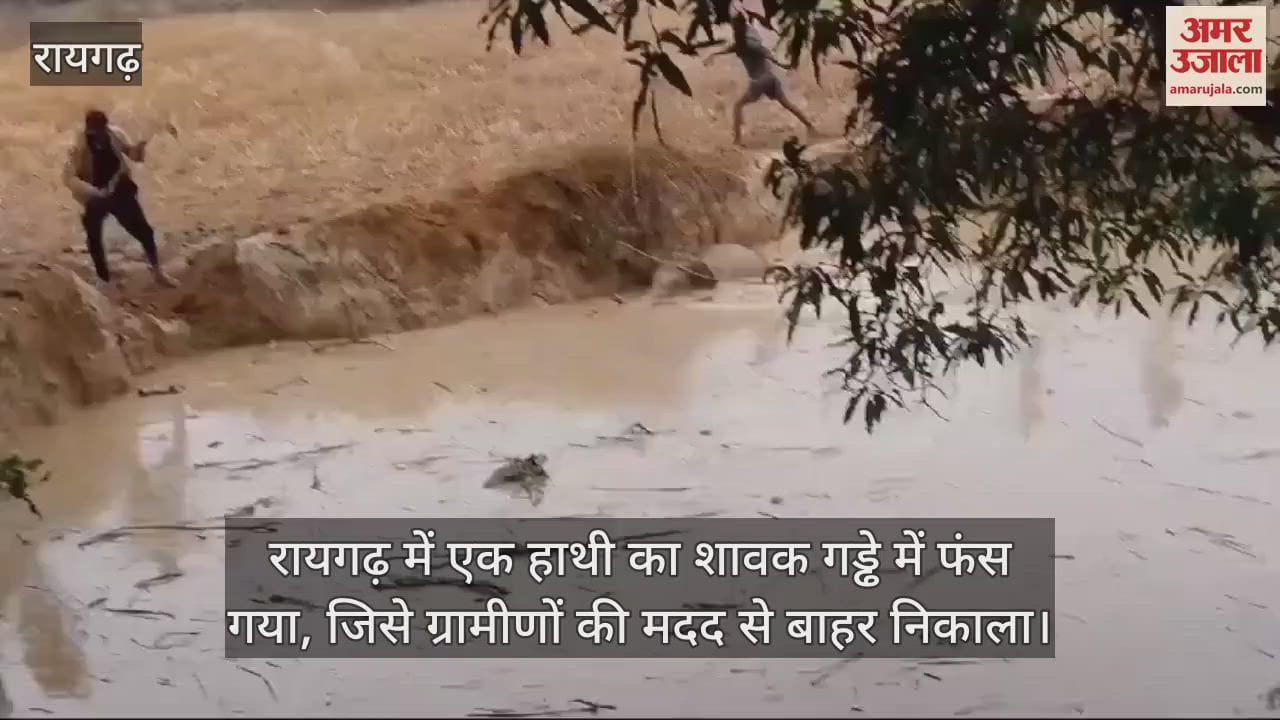 VIDEO : elephant cub got stuck in a pond in Raigad and was rescued