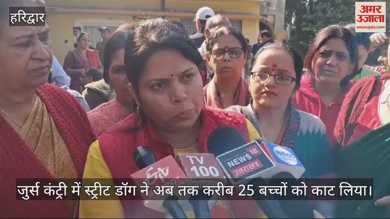 VIDEO : Street dogs have bitten around 25 children in Haridwar so far, troubled people reached Tehsil Diwas