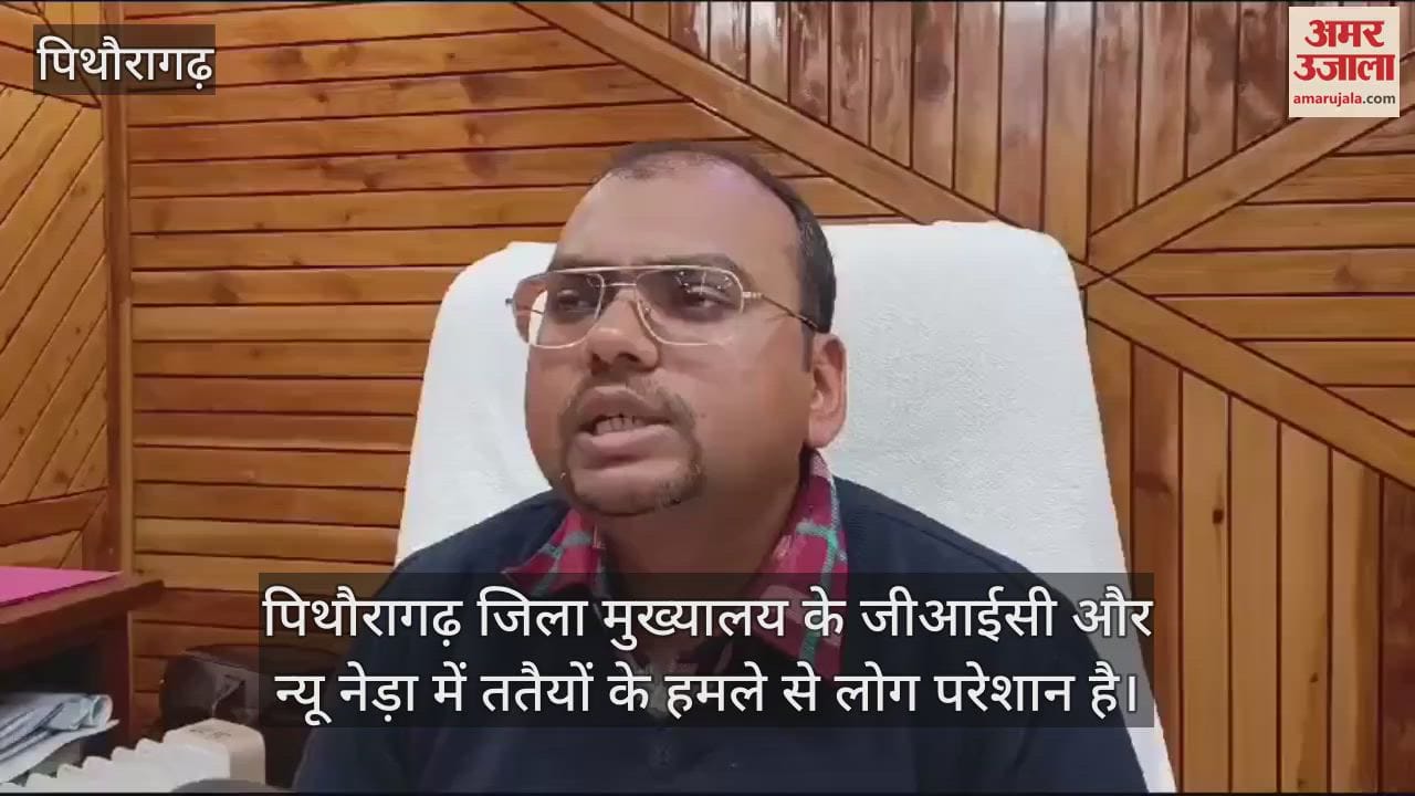 VIDEO : People are troubled by wasps in GIC and Neda of Pithoragarh district headquarters