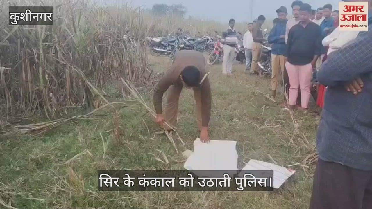 VIDEO : The skeleton of a child's skull was found buried in the ground in Kushinagar.