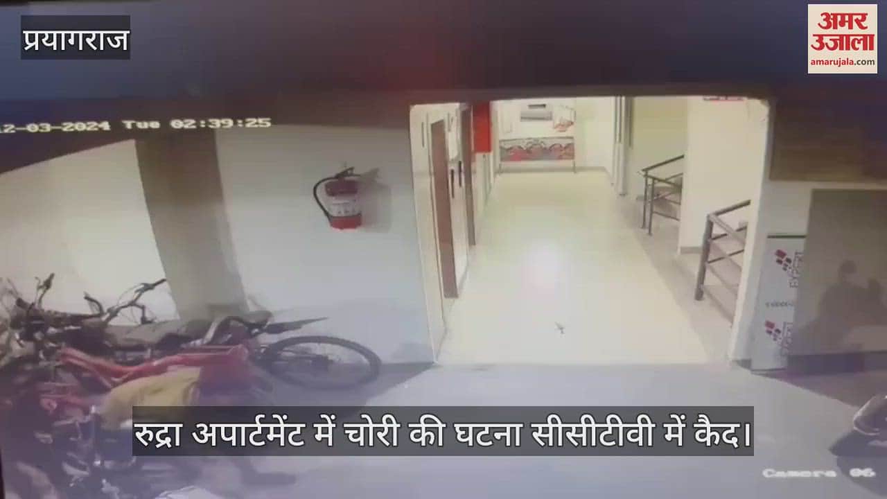VIDEO : Prayagraj: Five teams formed to uncover theft in Rudra Apartment, police picked up many suspects.