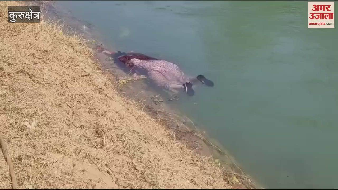 VIDEO : कुरुक्षेत्र में नहर में गिरने से एनआरआई महिला की मौत