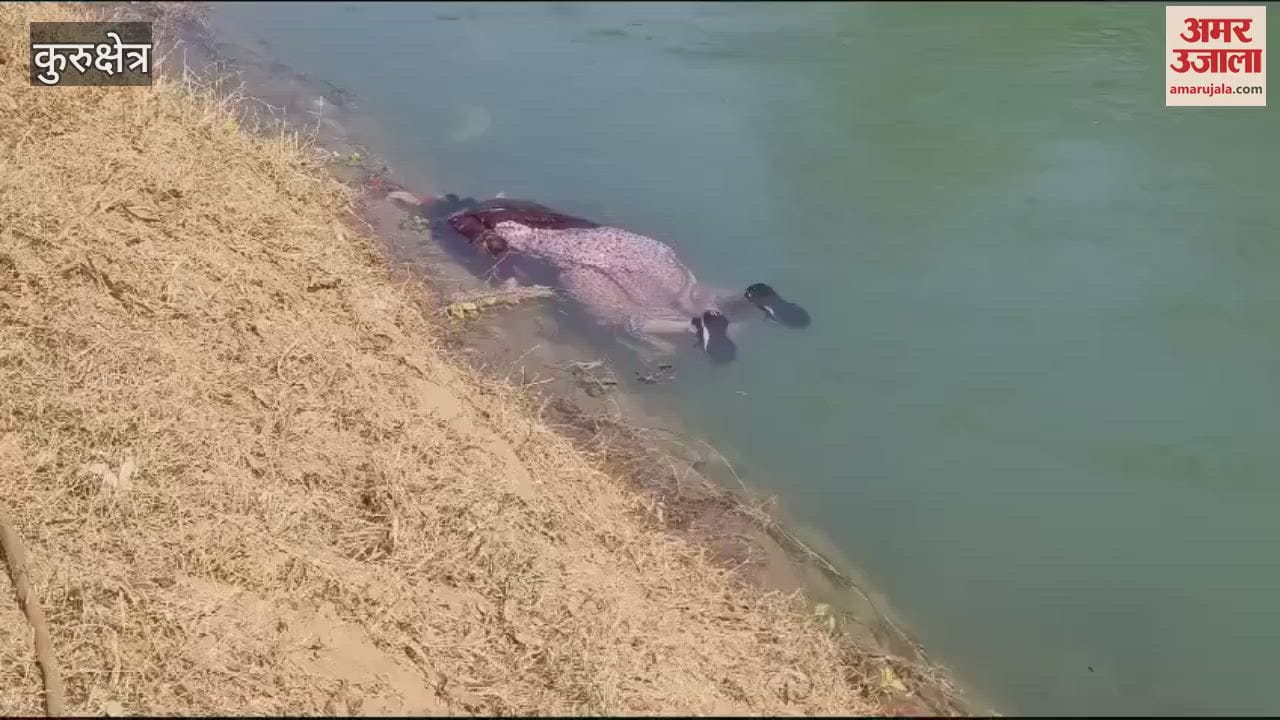 VIDEO : कुरुक्षेत्र में नहर में गिरने से एनआरआई महिला की मौत