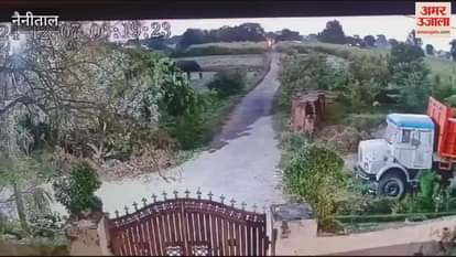 VIDEO : हाथी ने नगर निगम की गौशाला की दीवार तोड़ी, फसल भी रौंदी...देखिए वीडियो