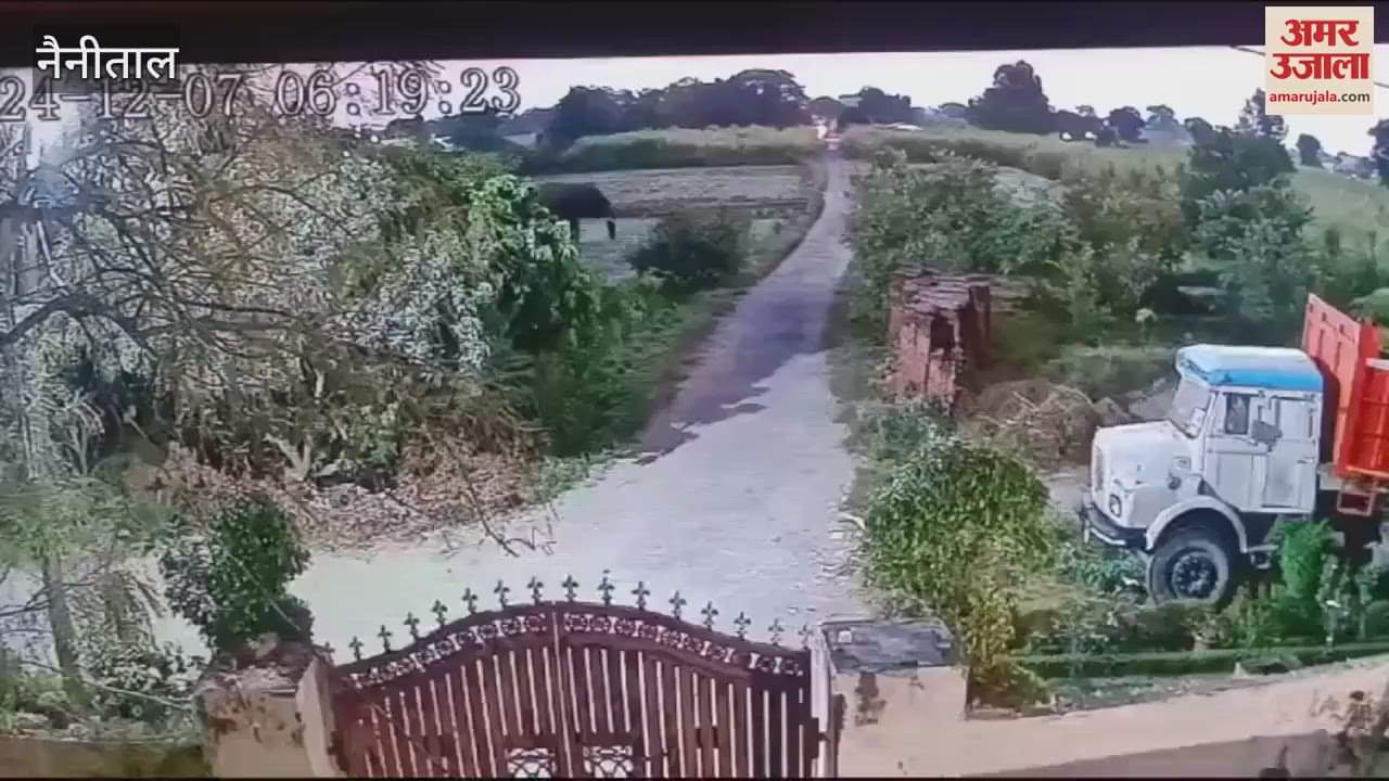 VIDEO : हाथी ने नगर निगम की गौशाला की दीवार तोड़ी, फसल भी रौंदी...देखिए वीडियो