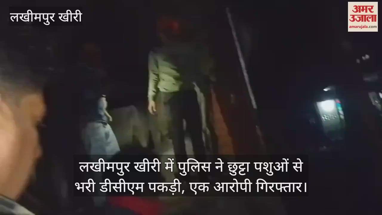 VIDEO : लखीमपुर खीरी में पुलिस ने छुट्टा पशुओं से भरी डीसीएम पकड़ी, एक आरोपी गिरफ्तार