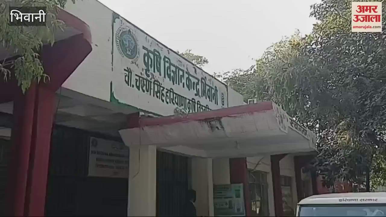 VIDEO : weather will change for three days in Bhiwani Due to western disturbance, fog will start