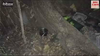 VIDEO : ग्राफिक एरा के छात्र का पेड़ पर लटका मिला शव, परिजनों ने दोस्तों पर लगाया हत्या का आरोप