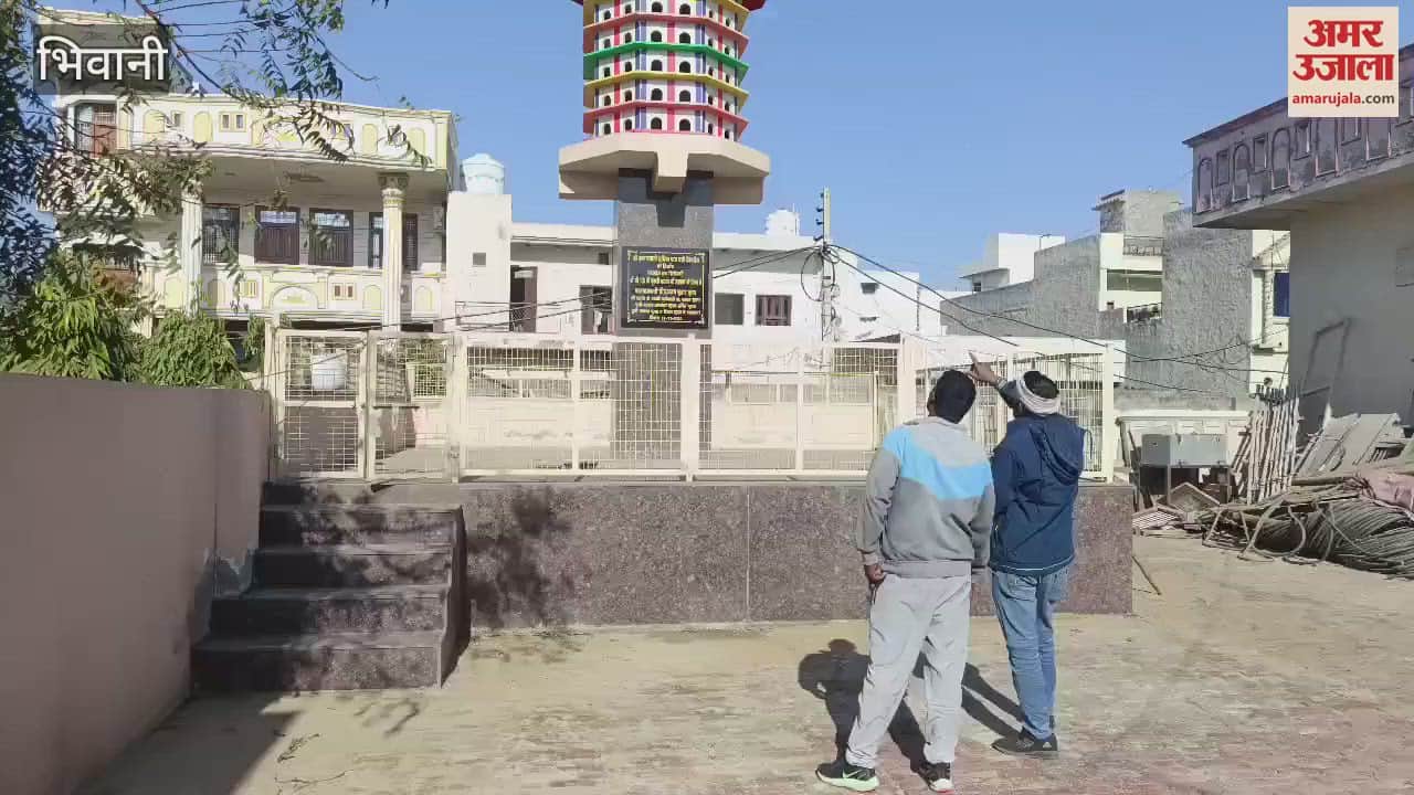 VIDEO : भिवानी में टावर के घरौंदों में अब परिंदों का बसेरा, चहकने लगा माहौल