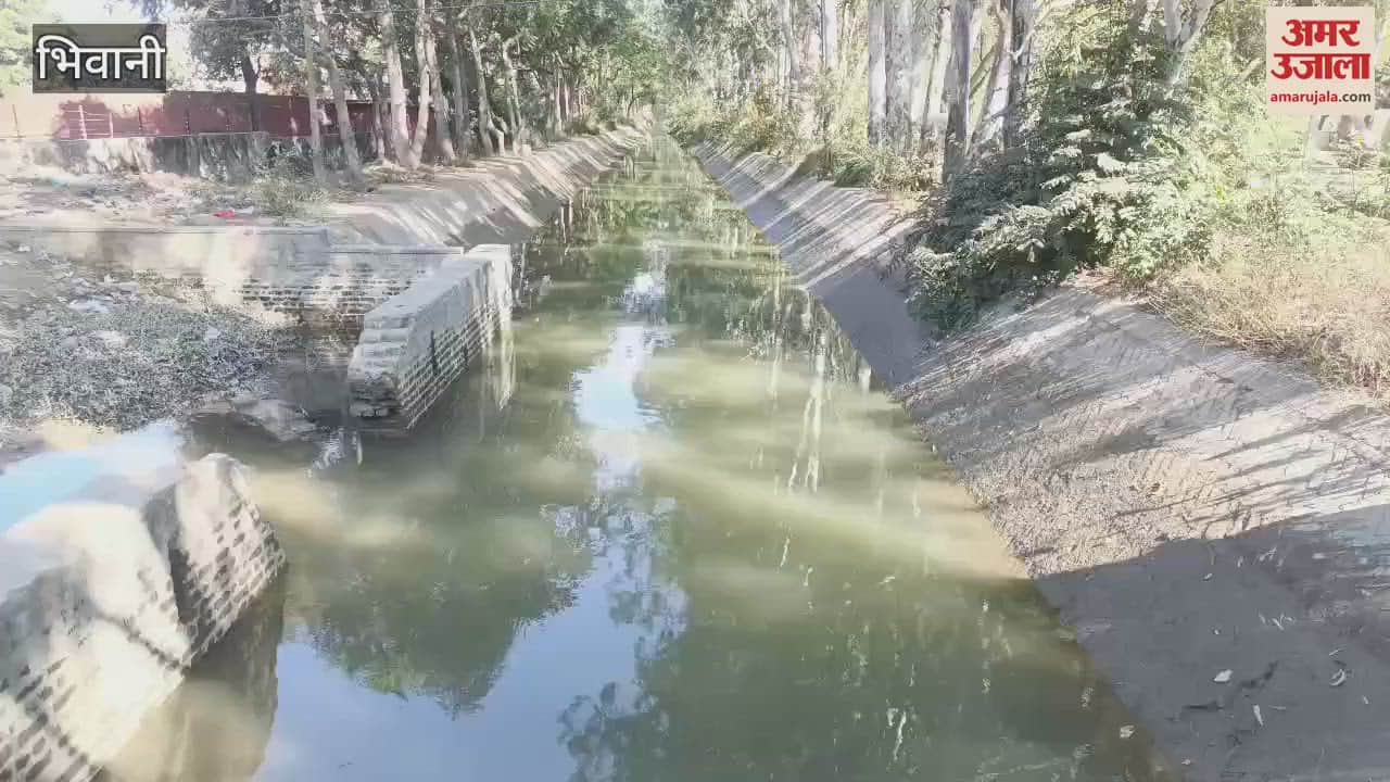VIDEO : 752 cusecs of water increased in Sundar Group's canals in Bhiwani