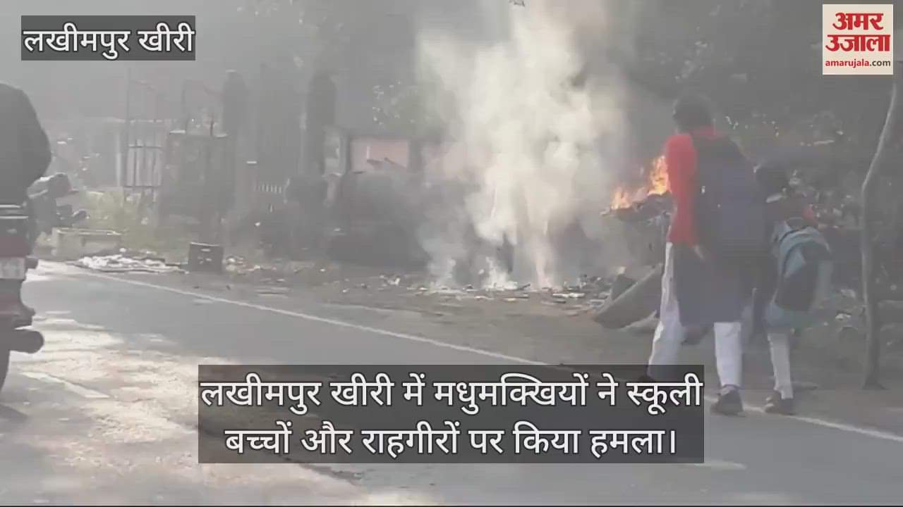 VIDEO : लखीमपुर खीरी में मधुमक्खियों ने स्कूली बच्चों और राहगीरों पर किया हमला