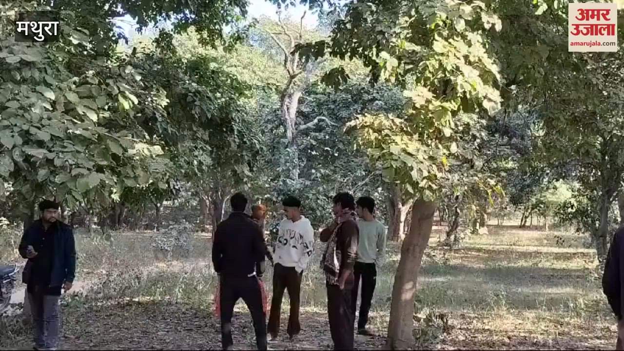 VIDEO : गोवर्धन परिक्रमा मार्ग पर पेड़ पर लटका मिला युवक का शव, पुलिस जांच में जुटी