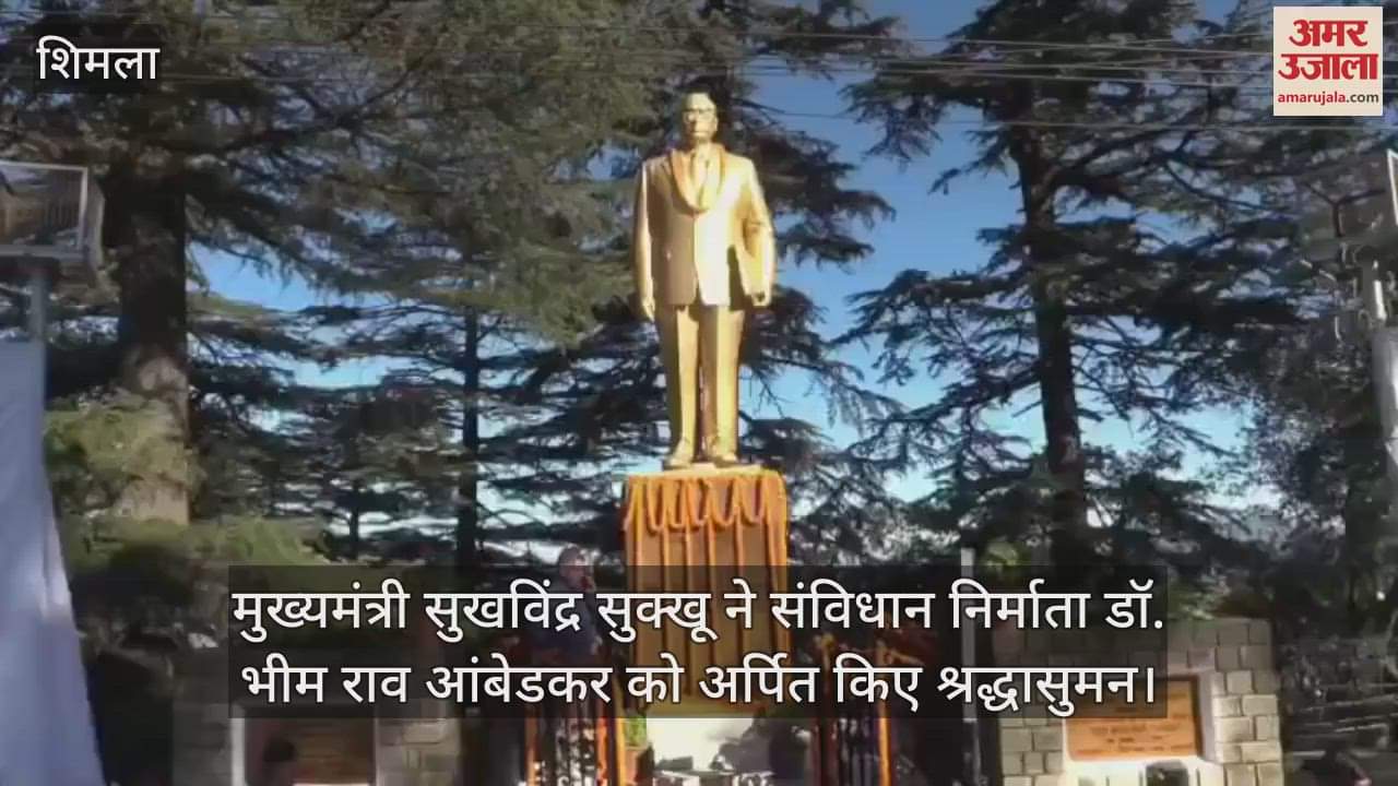 VIDEO : cm Sukhvinder Sukhu paid tribute to the architect of the Constitution, Dr. Bhim Rao Ambedkar