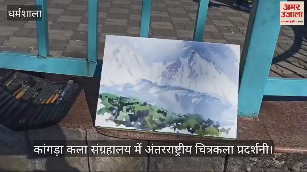 VIDEO : International painting exhibition at Kangra Art Museum, artists showed their skills in spot painting