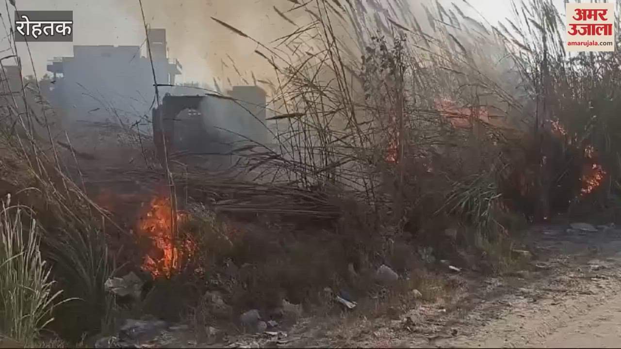 VIDEO : As soon as Grape 4 was removed in Rohtak, people became careless and flouted the rules of pollution control