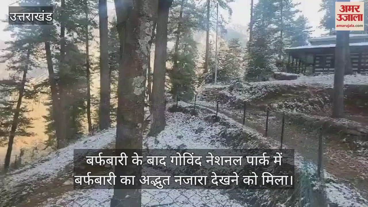 VIDEO : Snowfall in Govind National Park Uttarkashi Uttarakhand News in hindi