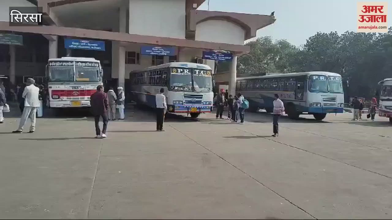 VIDEO : सिरसा में लंबे रूट हुए प्रभावित, बहादुरगढ़ से वापस लौटी बसें