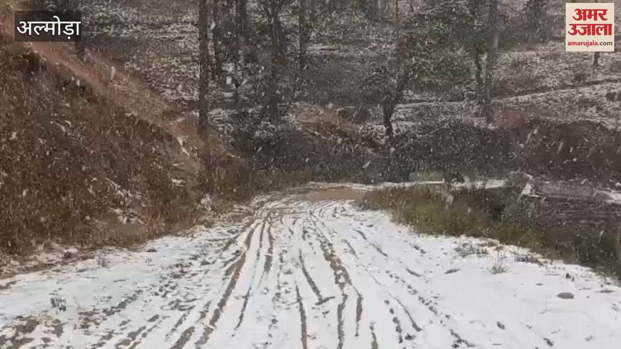 VIDEO : इंतजार हुआ खत्म... अल्मोड़ा के इन इलाकों में सीजन की पहली बर्फबारी, बढ़ी ठिठुरन