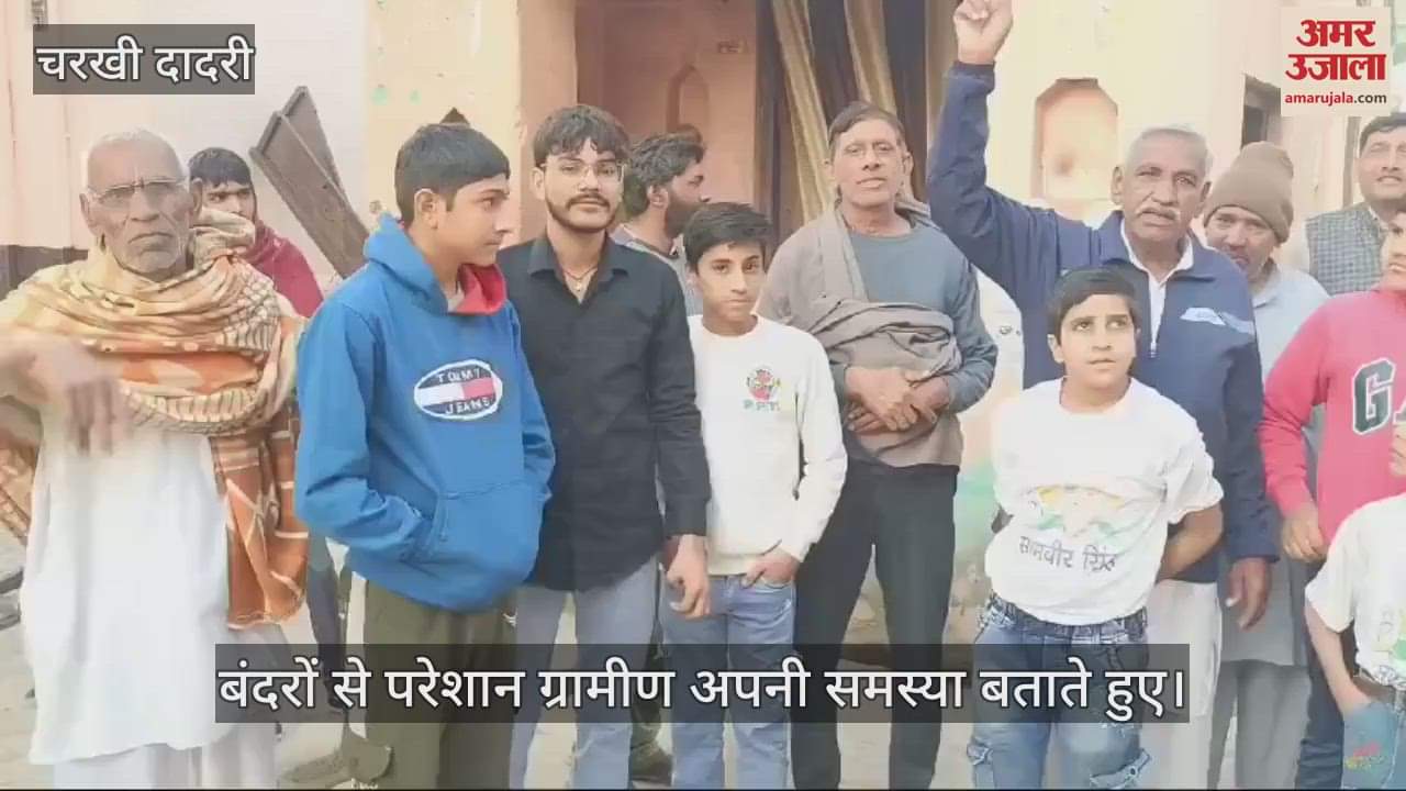 VIDEO : बंदरों का आतंक, छतों से गिरा देते है पानी की टंकी, मंदिरों से उठा ले जाते हैं घंटी...