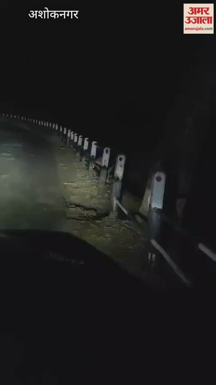 Ashoknagar News Leopard seen on way to Kila Kothi in Chanderi video viral on social media