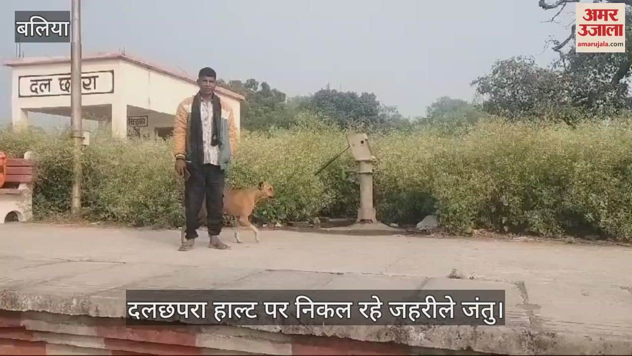 VIDEO : Fearful train journey in Ballia: Chaos at Dalchhapra halt, passengers terrified by bushes