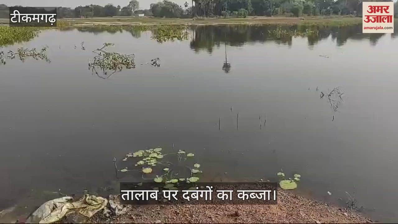 Tikamgarh News bullies captured pond fishermen group is making rounds of officials for justice