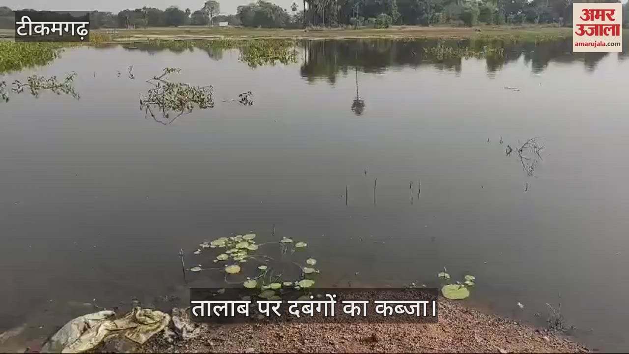 Tikamgarh News bullies captured pond fishermen group is making rounds of officials for justice