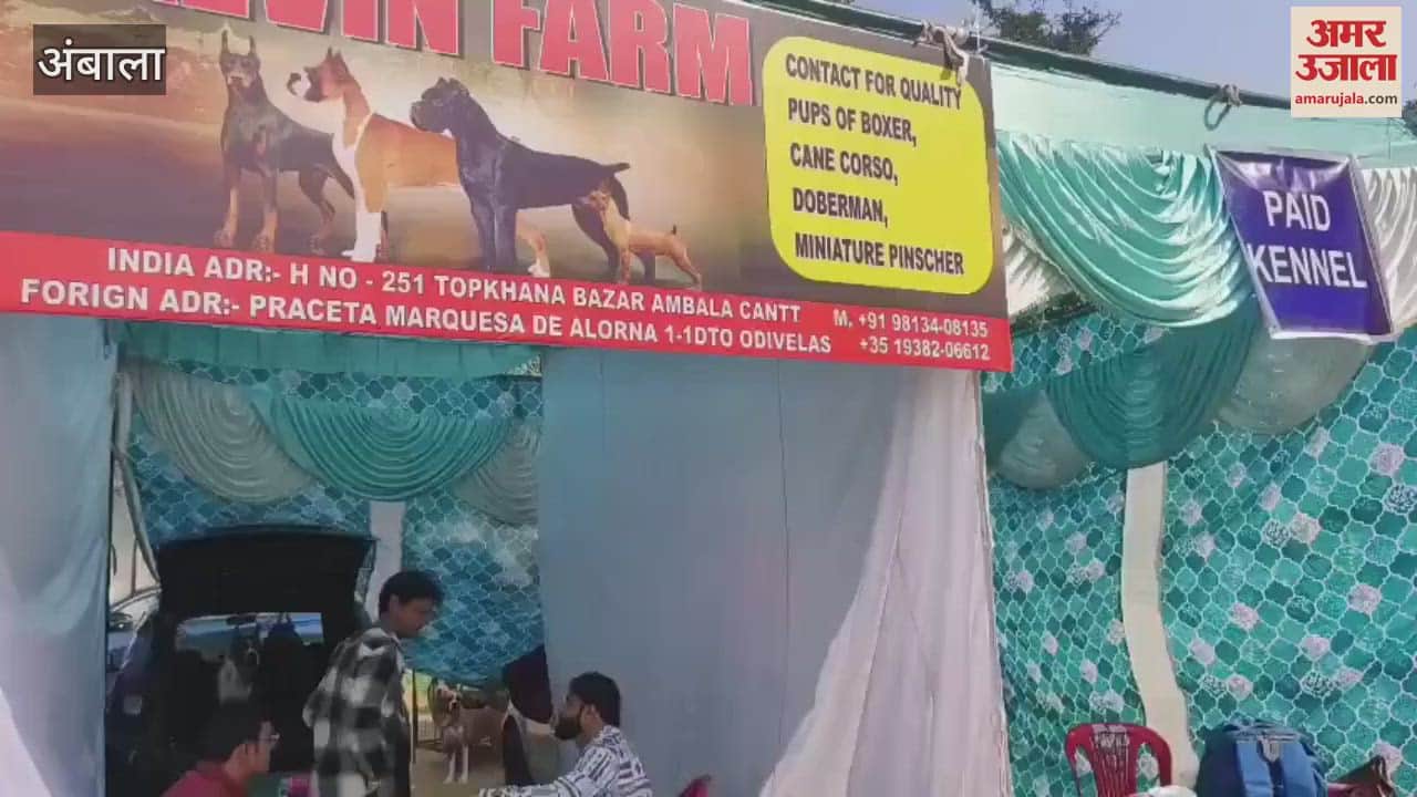 VIDEO : Dog show organized at Gandhi Memorial National College in Ambala