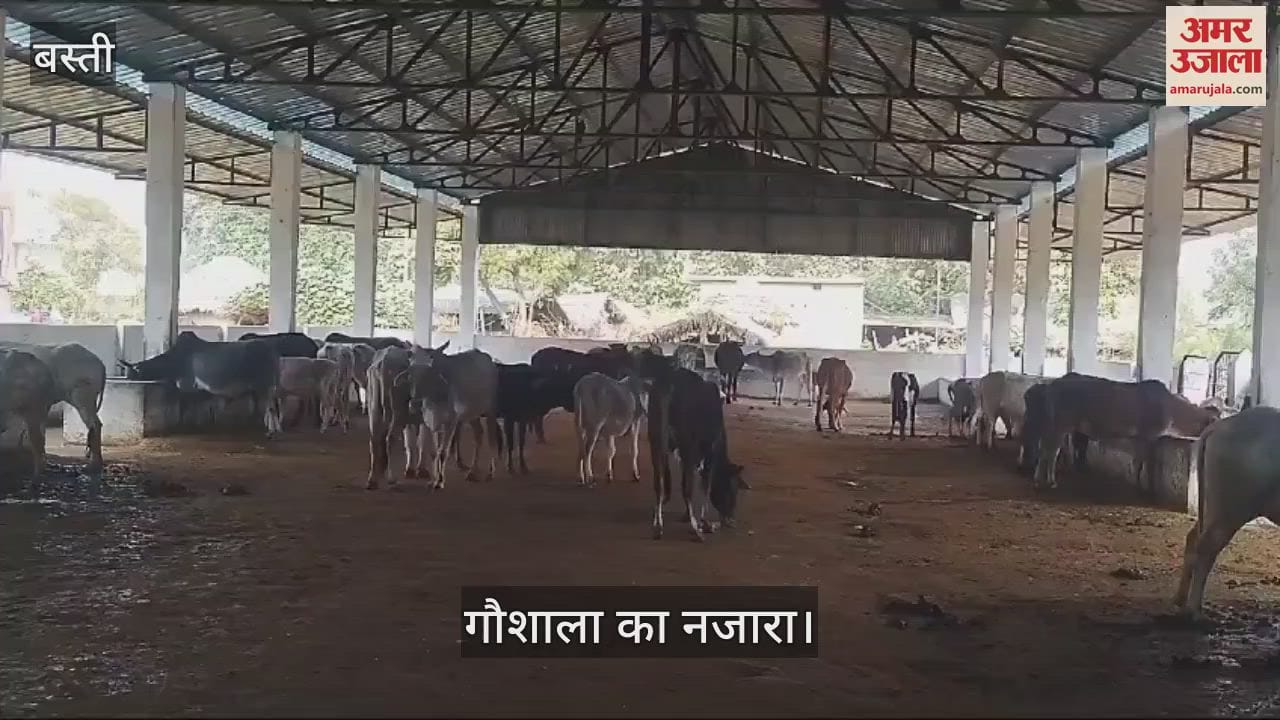 VIDEO : There is no adequate arrangement to protect from cold in the cow shed