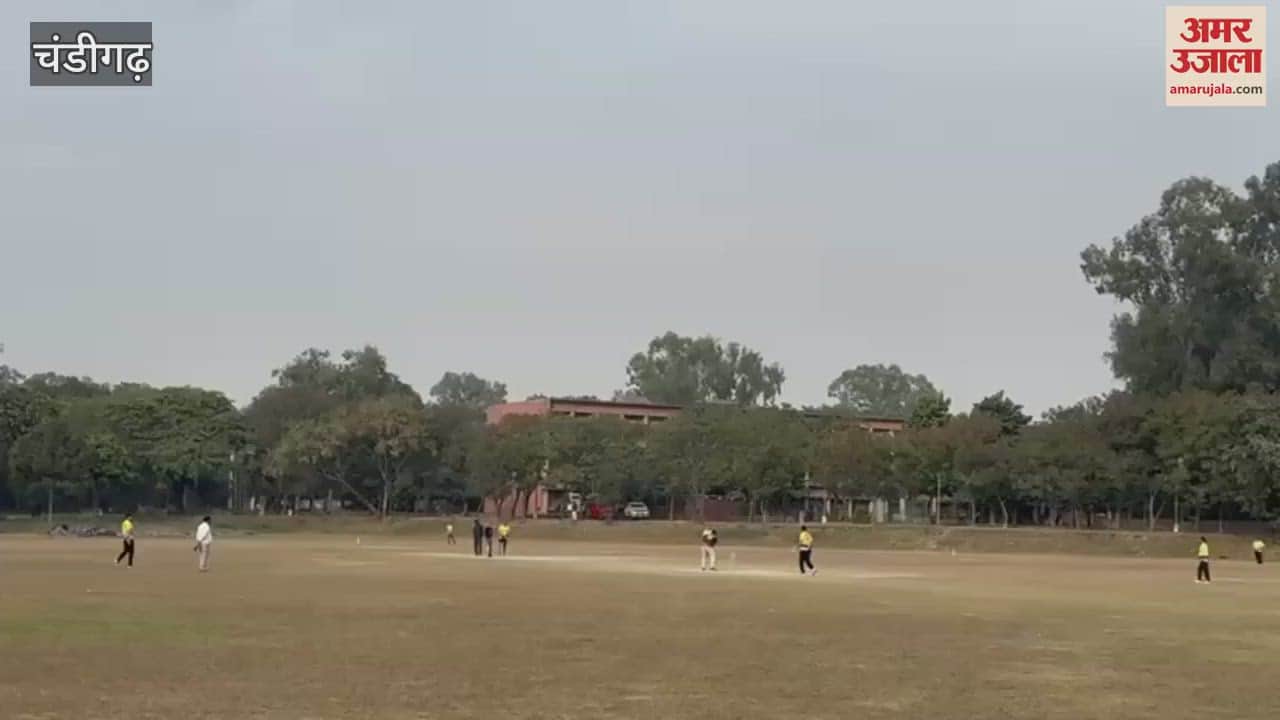 VIDEO : cricket tournament at Punjab University