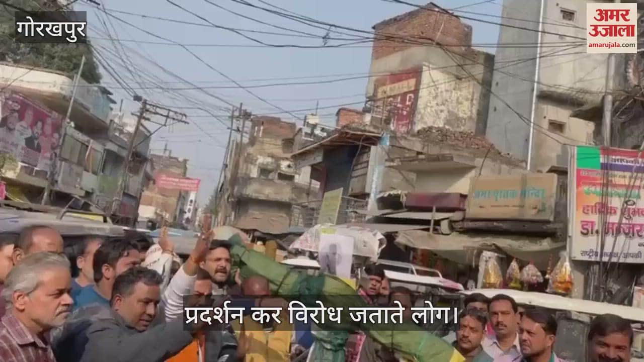 VIDEO : Burnt effigy to protest against atrocities on Hindus, expressed protest