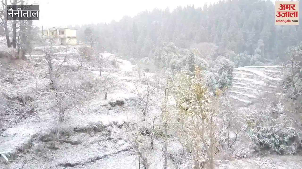 VIDEO : उत्तराखंड में मौसम ने ली करवट, नैनीताल के इन इलाकों में साल की पहली बर्फबारी, देखिए वीडियो