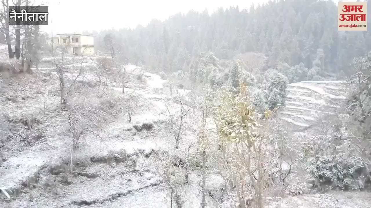 VIDEO : उत्तराखंड में मौसम ने ली करवट, नैनीताल के इन इलाकों में साल की पहली बर्फबारी, देखिए वीडियो