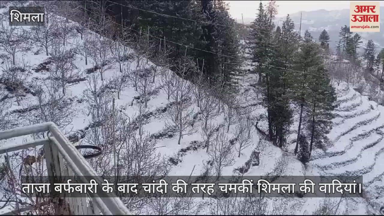 VIDEO : Shimla's valleys shine like silver after fresh snowfall