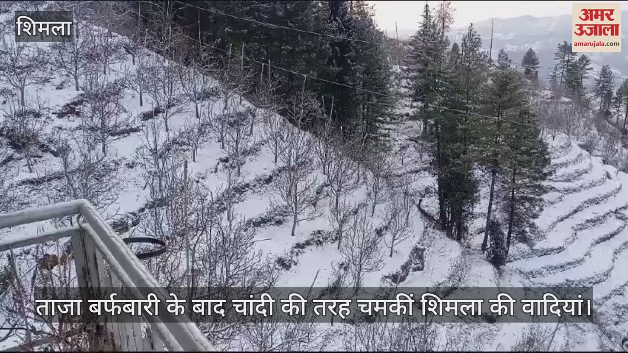 VIDEO : Shimla's valleys shine like silver after fresh snowfall
